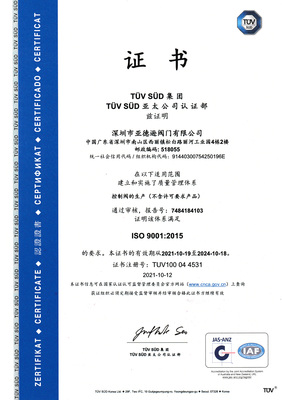 2021年ISO中文版.jpg